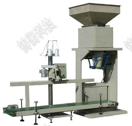 ��Ӷ�����